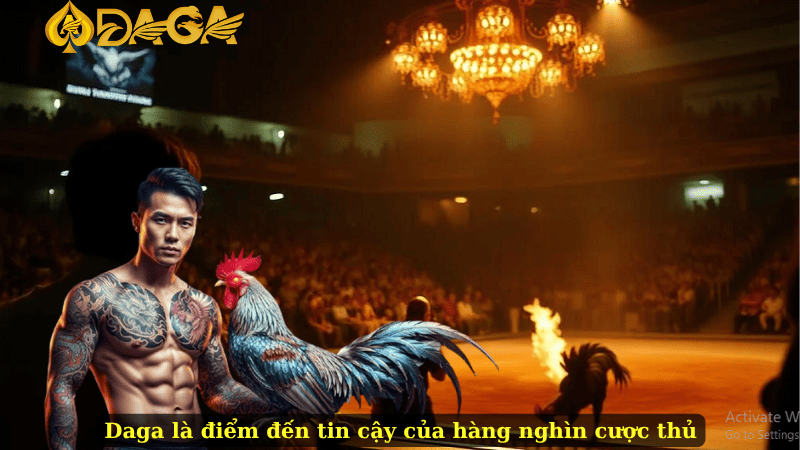 Daga là điểm đến tin cậy của hàng nghìn cược thủ