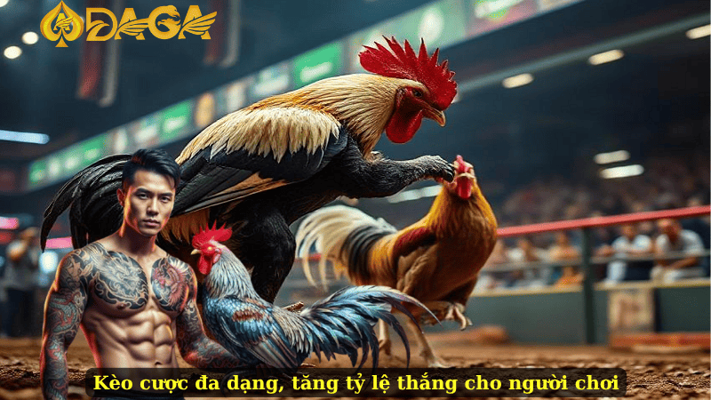 Kèo cược đa dạng, tăng tỷ lệ thắng cho người chơi